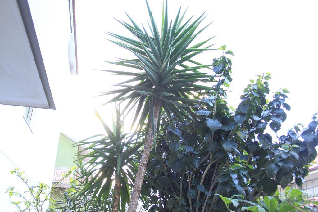 B&B Mimosa Giardini Naxos Bagian luar foto