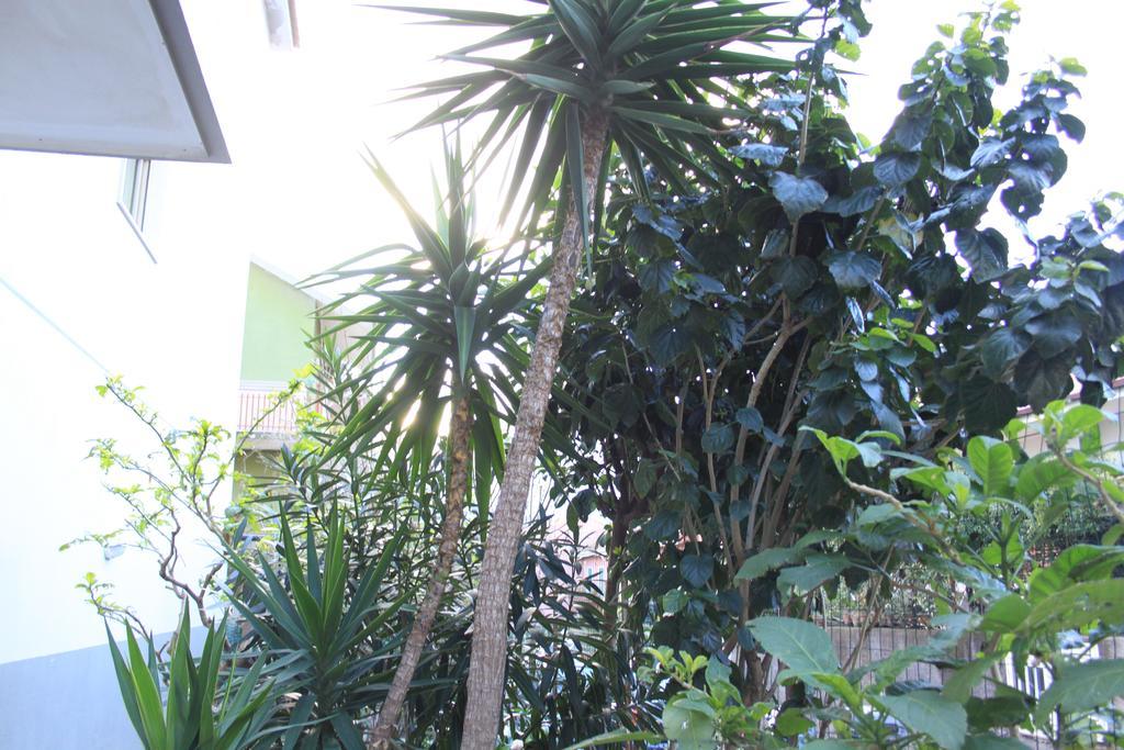 B&B Mimosa Giardini Naxos Bagian luar foto